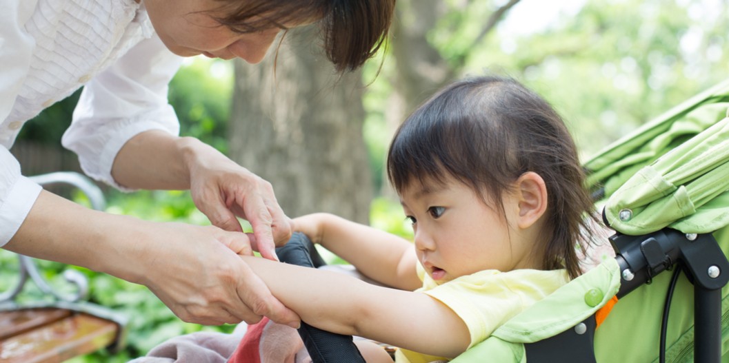 3 Nyamuk Paling Bandel dan Mewabah